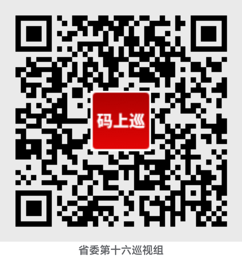 省委第十六巡視組巡視豫信電子科技集團(tuán)有限公司黨委工作動(dòng)員會(huì)議召開